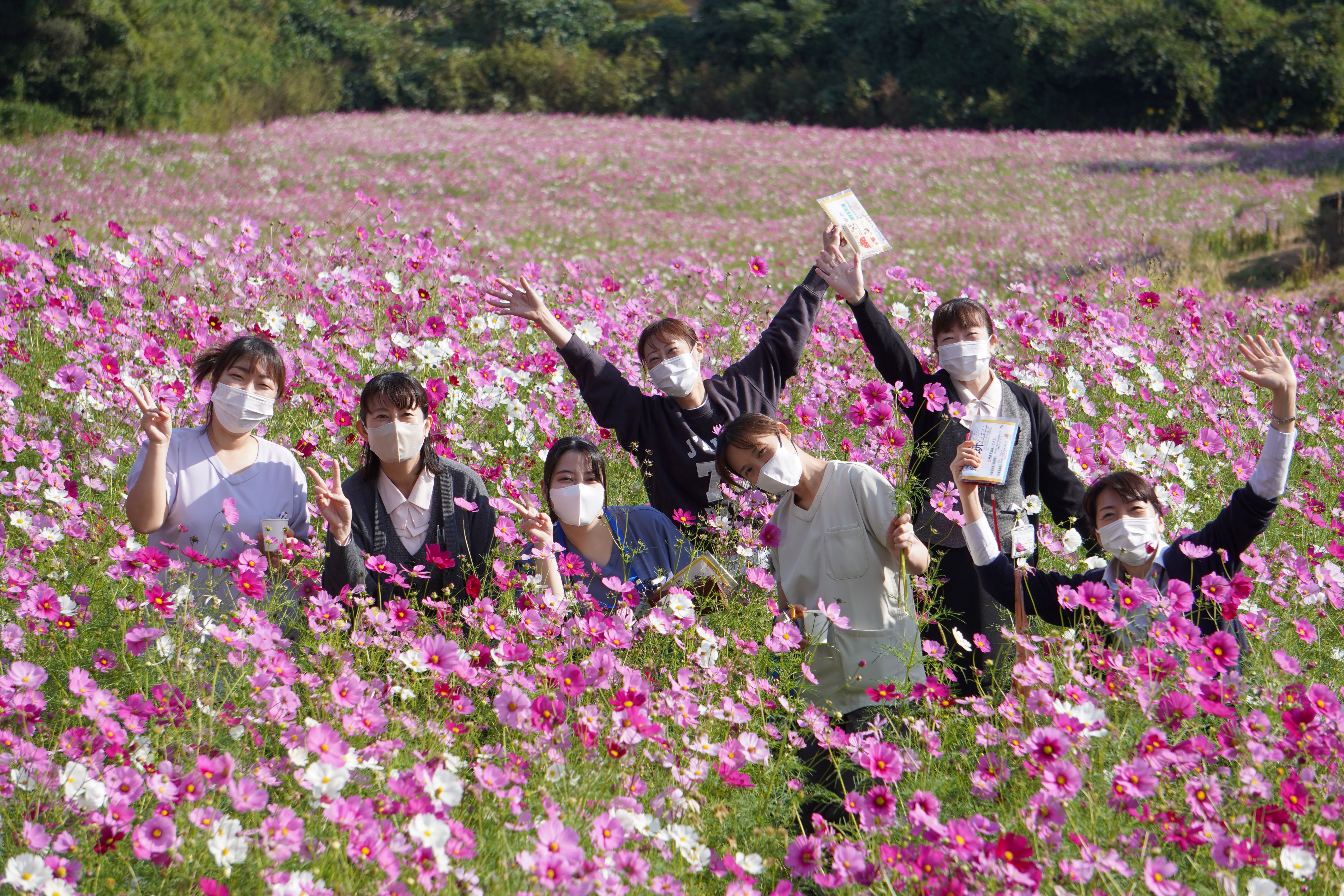 お花摘み コスモス花摘み体験｜新着情報｜川添記念病院